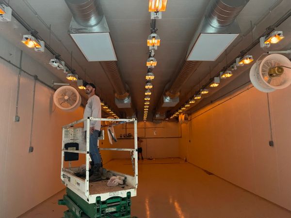Grow lighting